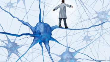 N°176 Tus neuronas colaboran (y no abandonan tu cerebro)