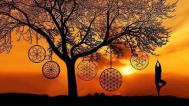 N°181 La vida es un asunto de energía (y de conocimiento)