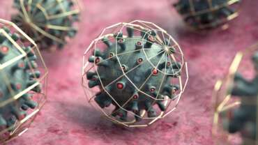 N°190 El virus aprende, nosotros no tanto