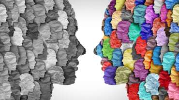 N°224 ¿Cuándo imitará tu empresa a tu cerebro?